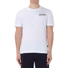 NAPAPIJRI T-SHIRT MĘSKI S-KASBA REGULAR