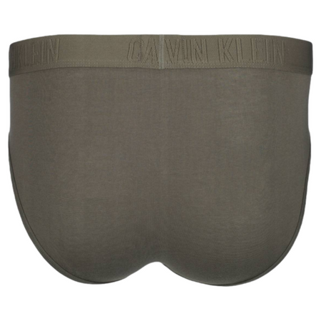 CALVIN KLEIN SLIPY MĘSKIE BRIEF 2PACK NP2048O